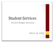 SS Budget Reductions