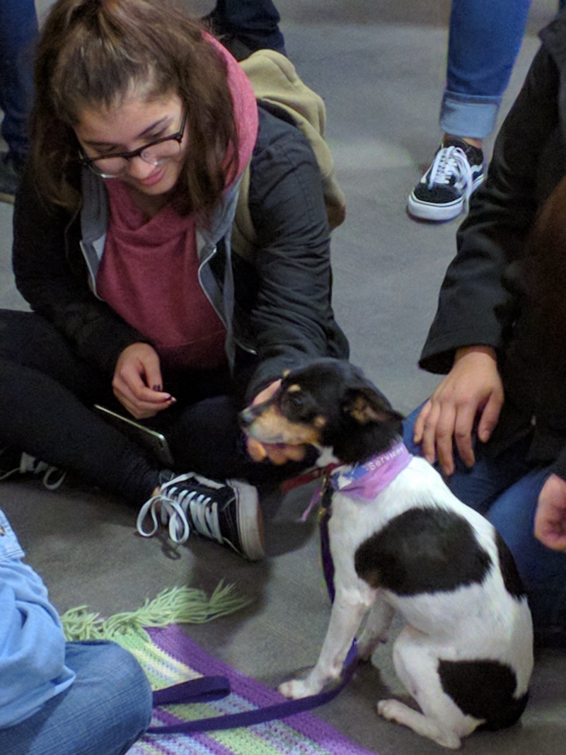 student petting small dog