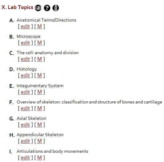 lab example