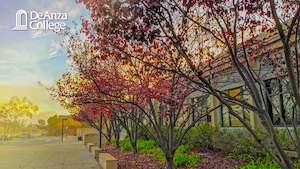 View of RSS Building and trees at sunrise