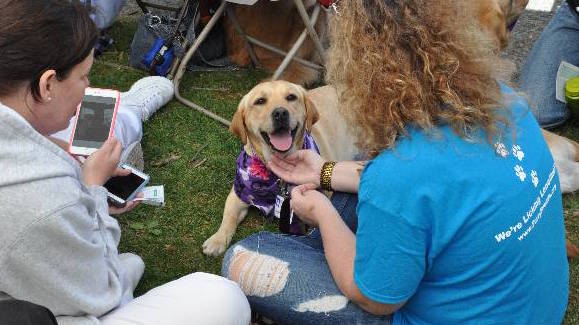 students petting dob