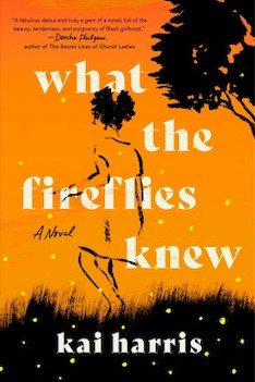 What the Fireflies Knew cover