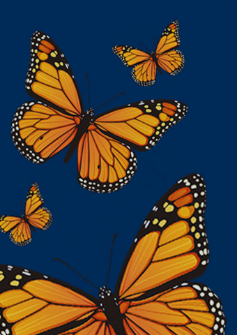 monarch butterflies on blue background
